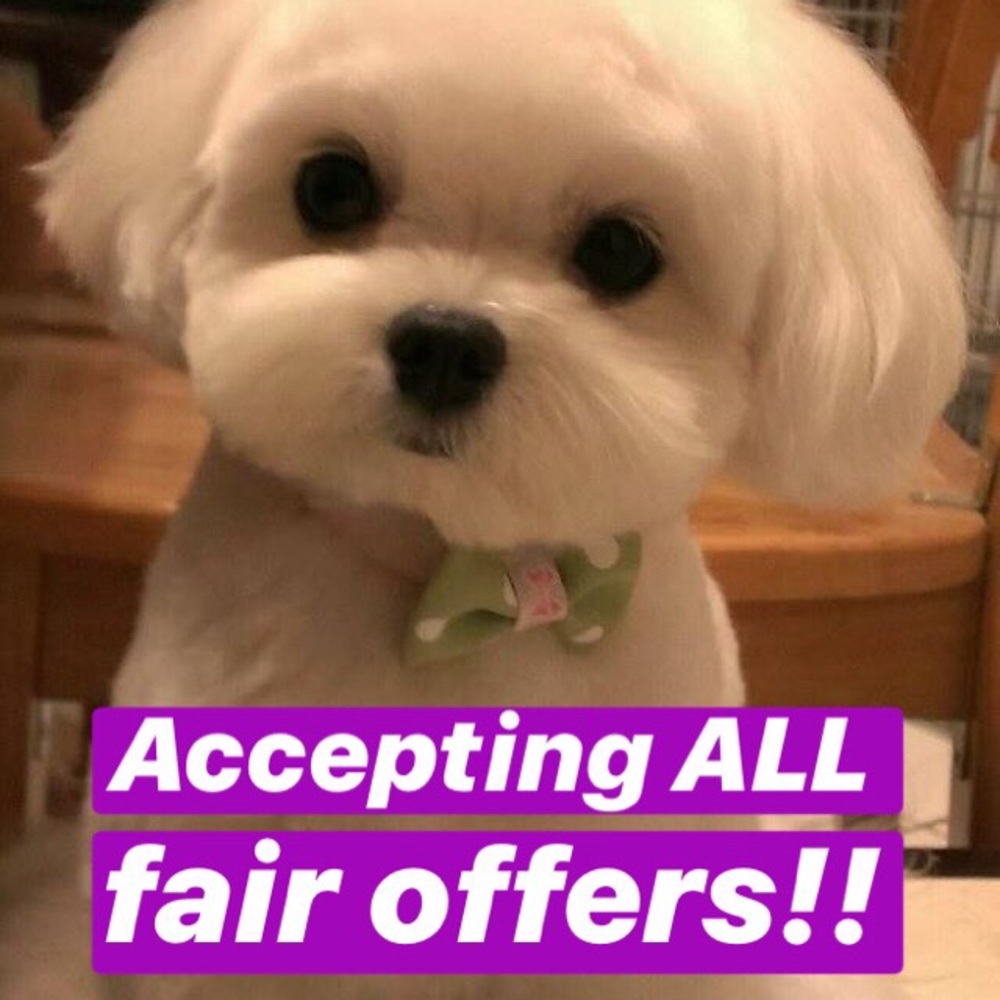 ❤️ACCEPTING ALL {FAIR} OFFERS‼️